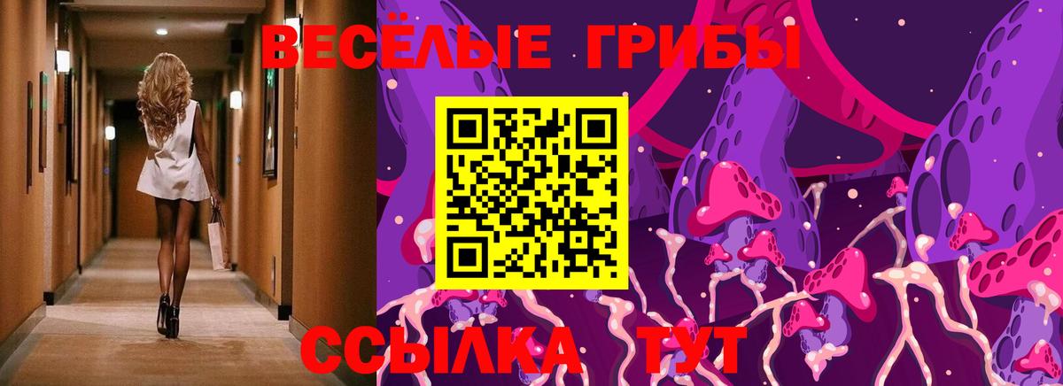 Псилоцибиновые грибы Psilocybe  Вход с VPN  Донской 