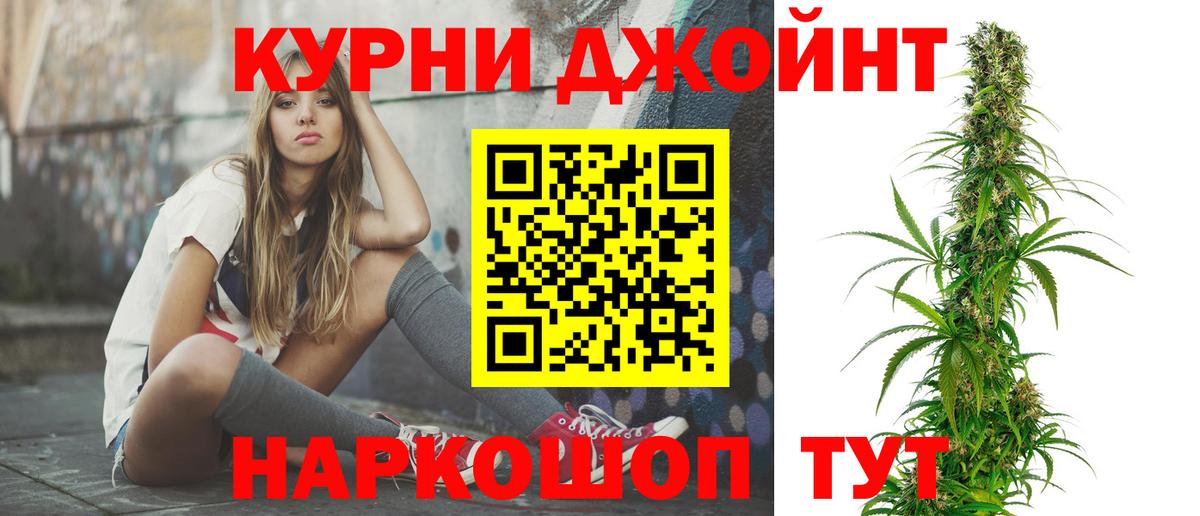 Конопля конопля Донской